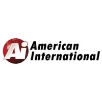 American International Radio Installation Accessories