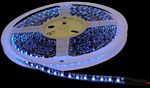 Calrad 92-300-BU-600 5M Blue LED Light Strip on reel with 600 - 1 CHIP LED
