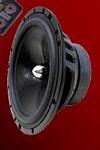 CDT Audio EU-6 1 pr 6.5 Inch cast mid-woofer