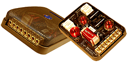 CDT Audio MX-1000 Ultra flexible 3/2 way xover
