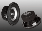 CDT Audio QES-1020 Eurosport 10 Inch 500 RMS Audiophile SQ Subwoofer 4 Ohm