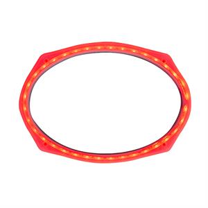 MB Quart SR1-169RGB 6×9 16 Color RGB LED Ring Light