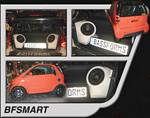 Bassforms SAATISMART Smart Fortwo Dual 8 Inch Custom Fiberglass Subwoofer Box, Right OR Left