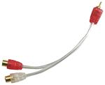 SCOSCHE AMFFYC Audio Y-Adapter (1 Male - 2 Female)